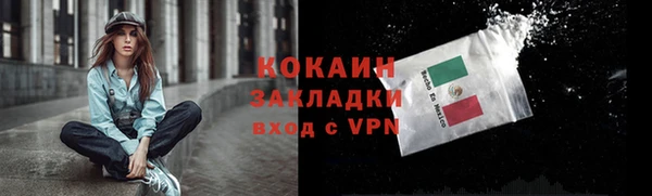 молекула духа Лиски