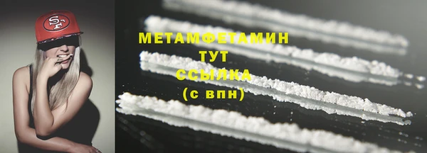 прущие грибы Липки