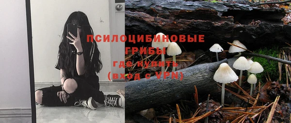 молекула духа Лиски