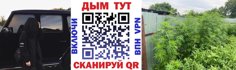 ОМГ ОМГ вход  Сосновка  Канабис Bruce Banner 